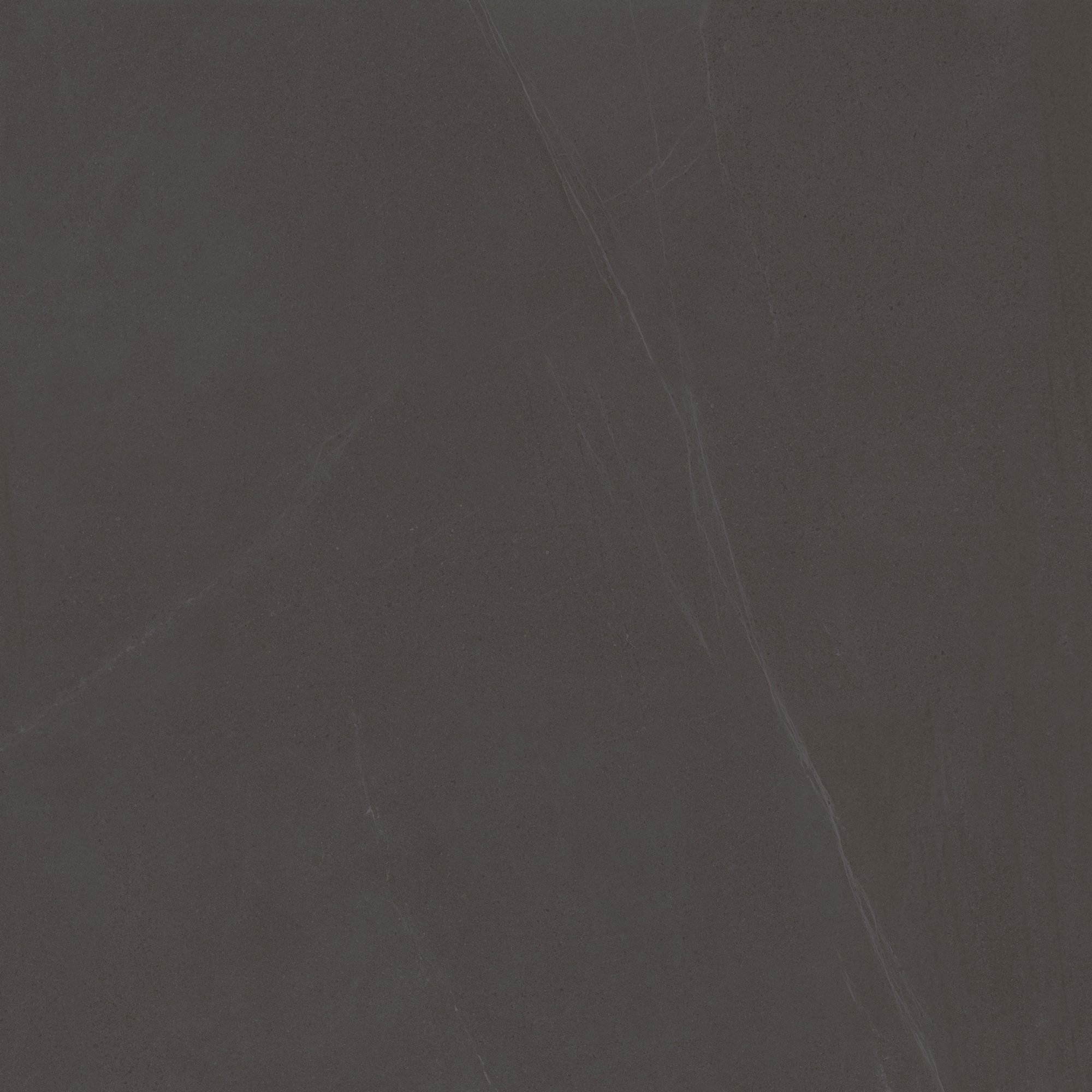 Rhone - Image 6