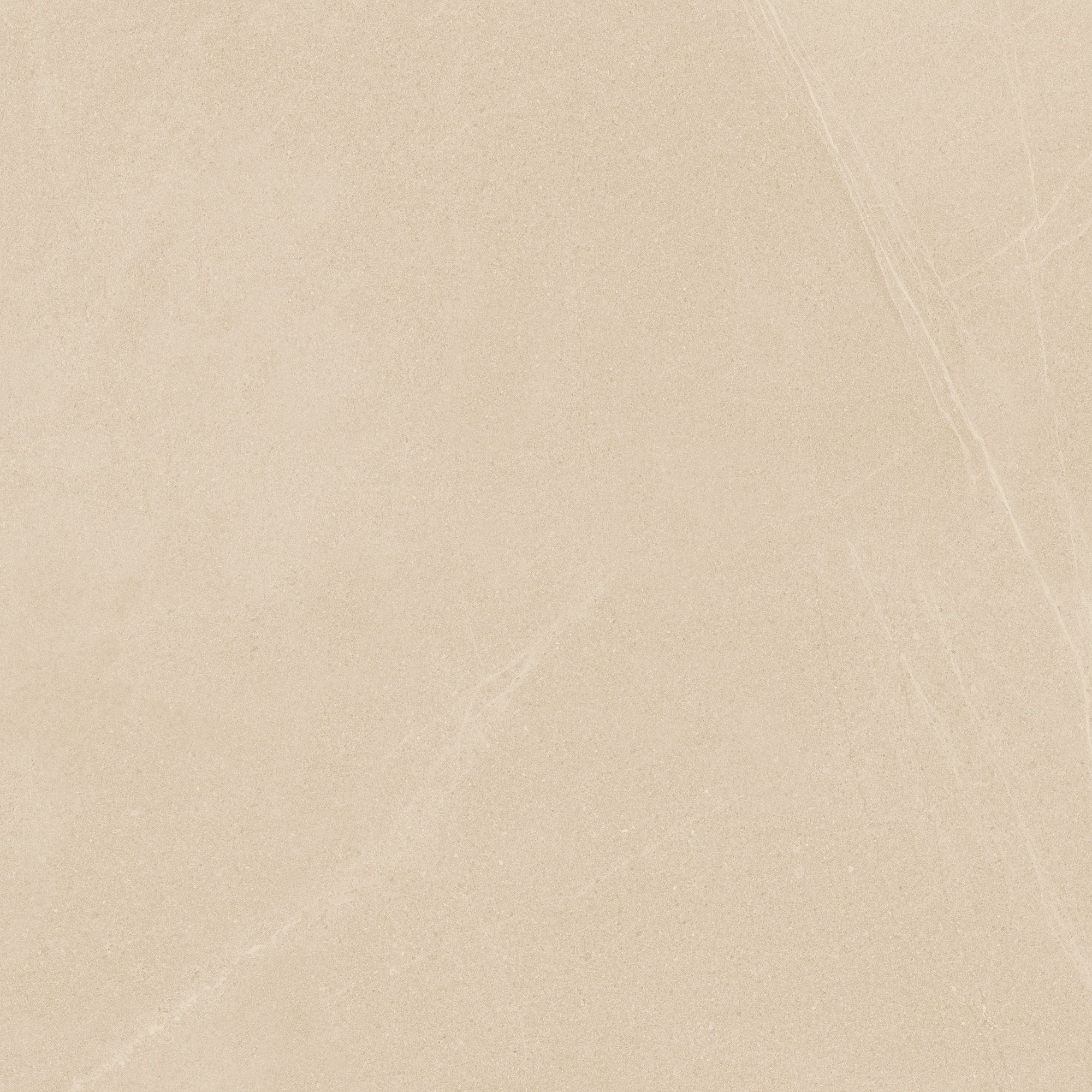 Rhone - Image 8